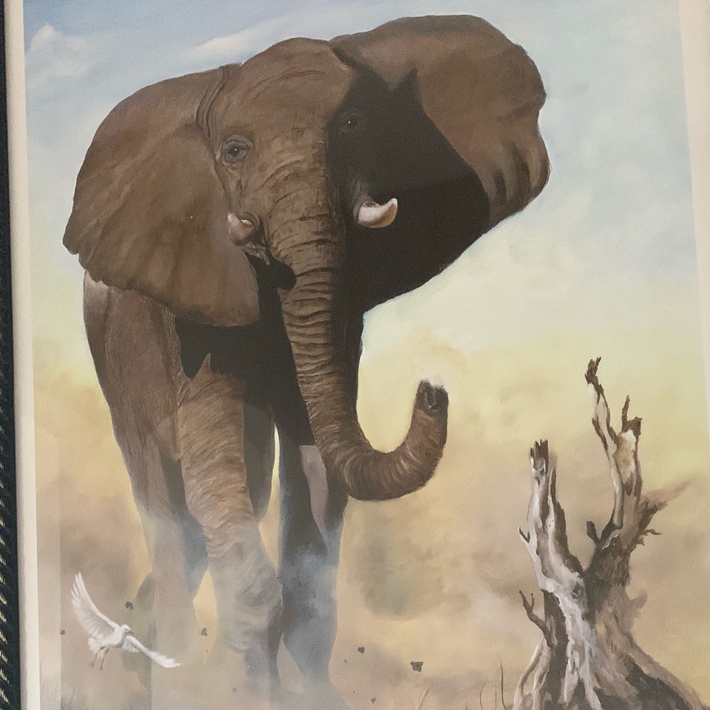 Meet your Posher, Martha